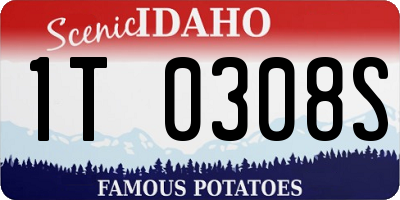 ID license plate 1T0308S