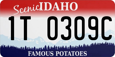 ID license plate 1T0309C