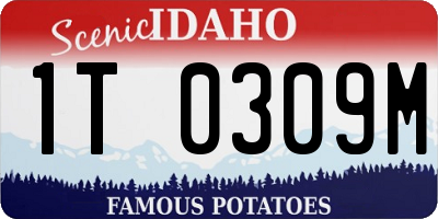 ID license plate 1T0309M