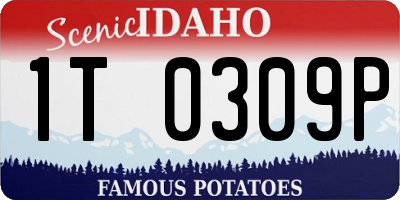 ID license plate 1T0309P