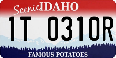 ID license plate 1T0310R