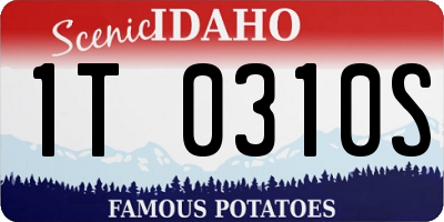 ID license plate 1T0310S