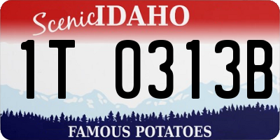 ID license plate 1T0313B