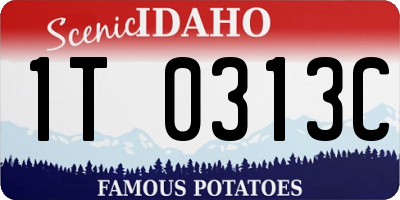 ID license plate 1T0313C