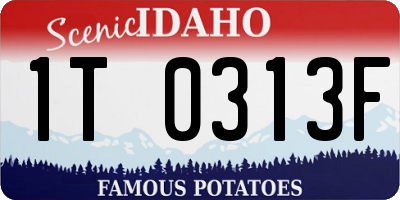 ID license plate 1T0313F