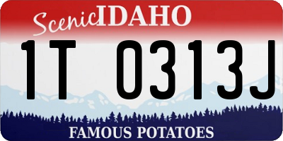 ID license plate 1T0313J