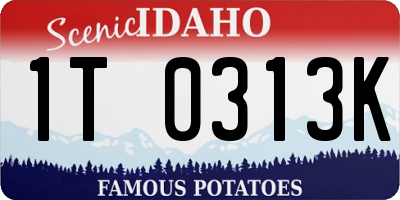 ID license plate 1T0313K