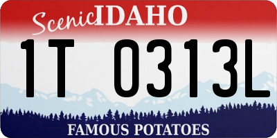 ID license plate 1T0313L