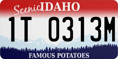 ID license plate 1T0313M