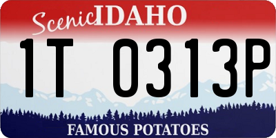 ID license plate 1T0313P