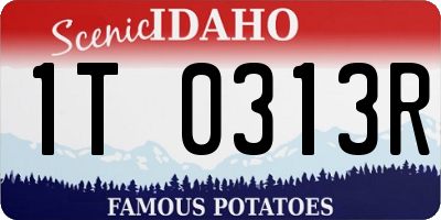 ID license plate 1T0313R