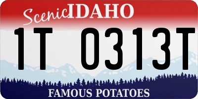 ID license plate 1T0313T