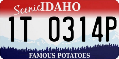 ID license plate 1T0314P