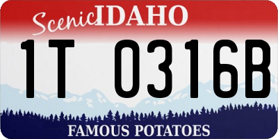 ID license plate 1T0316B