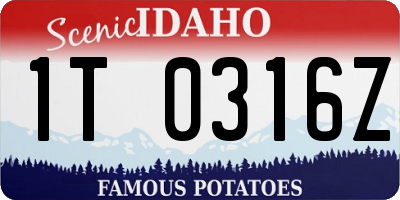 ID license plate 1T0316Z