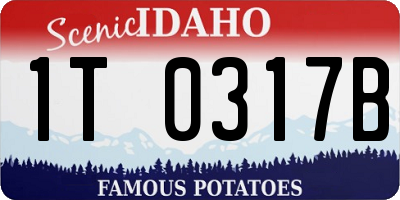 ID license plate 1T0317B