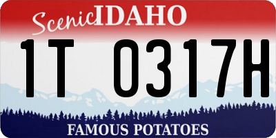 ID license plate 1T0317H