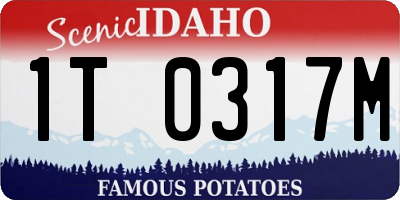 ID license plate 1T0317M