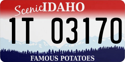 ID license plate 1T0317O