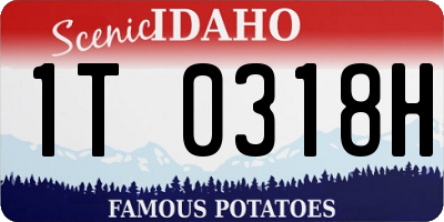 ID license plate 1T0318H