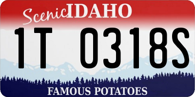 ID license plate 1T0318S