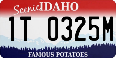 ID license plate 1T0325M