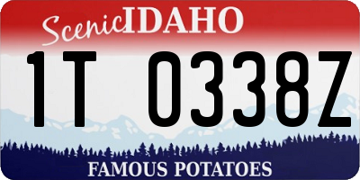 ID license plate 1T0338Z