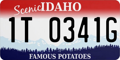 ID license plate 1T0341G