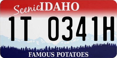 ID license plate 1T0341H