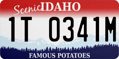 ID license plate 1T0341M