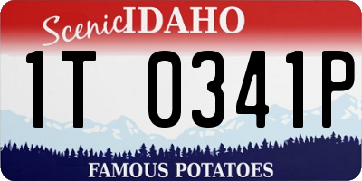 ID license plate 1T0341P