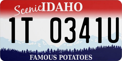 ID license plate 1T0341U