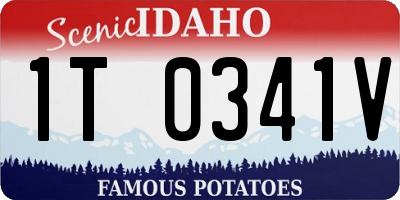 ID license plate 1T0341V