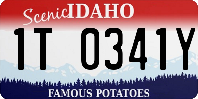 ID license plate 1T0341Y