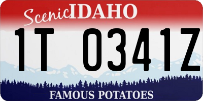 ID license plate 1T0341Z