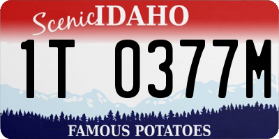 ID license plate 1T0377M