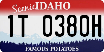 ID license plate 1T0380H