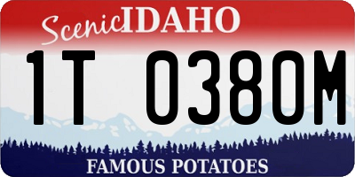 ID license plate 1T0380M