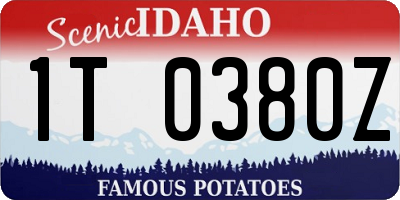ID license plate 1T0380Z