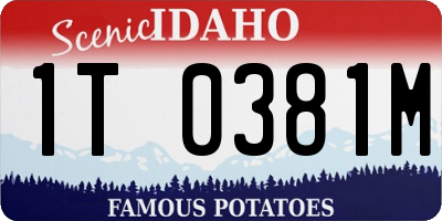 ID license plate 1T0381M
