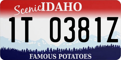 ID license plate 1T0381Z