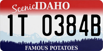 ID license plate 1T0384B