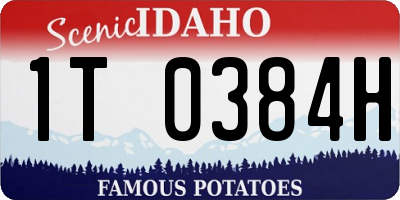 ID license plate 1T0384H