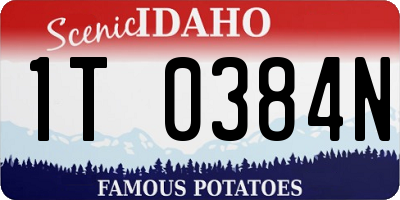 ID license plate 1T0384N
