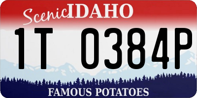 ID license plate 1T0384P