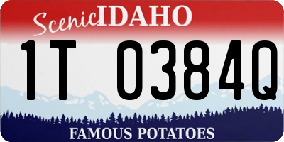 ID license plate 1T0384Q