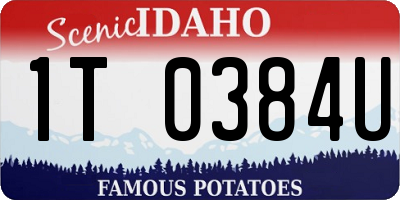 ID license plate 1T0384U