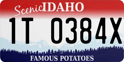 ID license plate 1T0384X