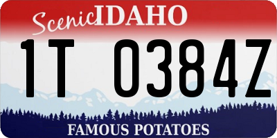 ID license plate 1T0384Z