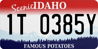 ID license plate 1T0385Y